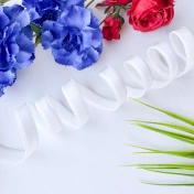 Бретелечная резинка, 10 мм, молочный, артикул 3564ТР img