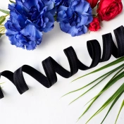 Бретелечная резинка, 12 мм, черный , артикул 3648ТР img